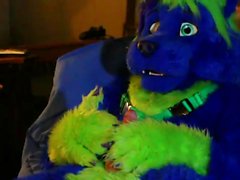 fursuit pawing off