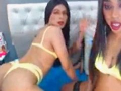 amatör transeksüel supet ladyboy travestiler shemale çoraplar shemale 