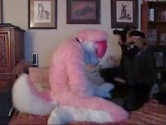 Gay guy getting fucked doggystyle in a furrysuit