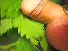 gai bdsm de plein air masturbation 