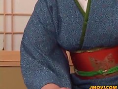 asiático peludo japonês lamber 