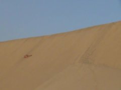 man naked on huge dunes