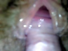 amateur cream pie close up 